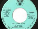 BROTHERS BY CHOICE You Think I’m A Fool /Can’t You See CALGAR 45 sweet soul HEAR