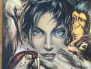 I RAMINGHI - ...IL LUNGO CAMMINO DEI RAMINGHI – CLEAR + POSTER - LP
