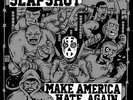 Slapshot Make America Hate Again NEAR MINT Bridge 9 Vinyl LP