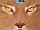 Lynx Missing Lynx NEAR MINT quality Vinyl LP