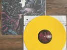 A Day To Remember Homesick Vinyl LP Yellow FIRST PRESS Limited /1710