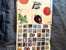 Best of Cream and Led Zeppelin II Vintage LPs