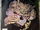 Black Cat Bones Barbed Wire Sandwich Vinyl LP Blues Rock Album Psyche Rock Rare