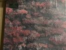 SLEEP TOKEN - EVEN IN ARCADIA / Vinyl 2xLP limited on COLORED