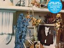 Brian Eno Here Come The Warm Jets (Vinyl)