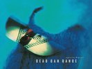 Dead Can Dance - Spiritchaser Vinyl 2010 MOFI Reissue- Rare - NM