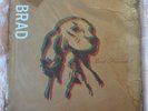 BRAD Best Friends? VINYL SEALED MINT