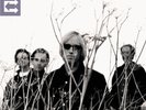 Tom Petty & The Heartbreakers - Echo (2LP Vinyl)