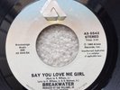 BREAKWATER say you love me girl ARISTA AS 0542 modern soul BOOGIE 45 rare EX