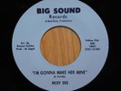 Ricky Dee Michigan Mod Garage Dancer 45 Im Gonna Make Her Mine bw Girl Big Sound