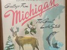 Sufjan Stevens - Greetings From Michigan Michigan State AKR Edition Vinyl Record