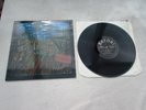 T2 LP IT'LL ALL WORK OUT IN BOOMLAND 2002 SATORI NEAR MINT PSYCH