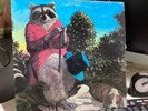 J.J. Cale—Naturally.. VG vinyl lp..SW28908