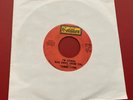 TAMI LYNN I'm Gonna Run Away From You  1971 7