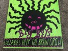 1983 BIG BOYS. Lullabies Help The Brain Grow. Insert NM Texas Punk