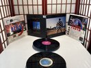 Pink Floyd Delicate Sound of Thunder Live 1988 Original Vinyl Record Album R4