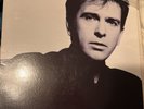 PETER GABRIEL 