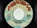 70s Soul 45 - Randy Brown - I'm Always In The Mood - Parachute VG+