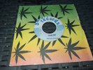 7' Garbos Records-Andy Drew- Shelter-mp3