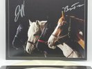 NEW Foxing SIGNED Nearer My God On Glow In The Dark Vinyl AUTOGRAPHED Jacket LP