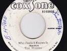 Reggae / Ska - The Wailers – Who Feels It Knows Is / Lonesome Feeling - HEAR