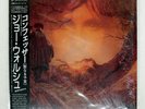 JOE WALSH CONFESSOR WARNER P13118 Japan PROMO OBI INSERT VINYL LP