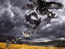 David Gilmour Rattle That Lock (Vinyl) 12