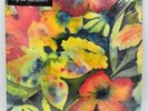 Songs and Instrumentals by Adrianne Lenker (Record, 2020) - Sealed (See Descr.)