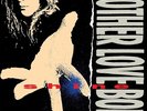 Mother Love Bone - Shine (180 Gram Vinyl LP) [PRE-ORDER]