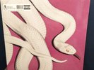 Deftones - Private Music (New Vinyl LP) Alternate Cover Linited Edition Fog Grey