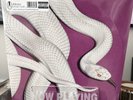 Deftones private music (New Vinyl LP) Alternate Cover Linited Edition Fog Grey