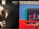 2x Whitesnake Promo Vinyl Record LP David Coverdale Slide It In