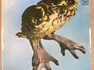 Brainchild - Healing of the Lunatic Owl - OG UK A&M LP  -1 / -1 Rare Prog LP