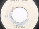 Roots Reggae - Skylarking - HORACE ANDY - BONGO MAN COXSONE  7