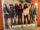 Lynyrd Skynyrd ICON Compilation Vinyl Album Still Sealed 2 LP