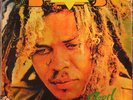 Fred Locks - Black Star Liner (LP, Album, RE) (Very Good Plus (VG+))