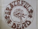 Grateful Dead Felt Forum VG+