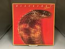 BLACKFOOT - Strikes 1979 - Vinyl LP (Record Album) ATCO SD 38-112