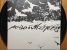 Poison The Well - Tear From The Red LP (preowned)