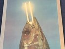 REO Speedwagon – You Can Tune A Piano, But You Can't Tuna Fish (OIS; Ex/Ex)