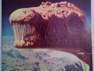 Blue Oyster Cult Cultosaurus Erectus Record LP 1980 Excellent Condition