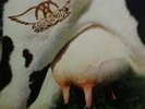 Aerosmith Get a Grip (Vinyl) 12