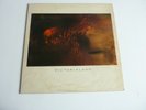 COCTEAU TWINS VICTORIALAND VINYL LP IN EXCELLENT CONDITION