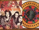 Caifanes El Diablito RARE 2016 Zoetrope Picture Disc Vinyl LP | Near Mint Disc