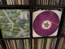 Fiddlehead - Between the Richness “White Inside Purple” Run For Cover Records NM