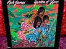 1980 Rick James “ Garden Of Love” Gordy Records G8-99M1 (Factory Sealed)