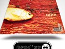 SEE VIDEO - THE PRODIGY Breathe XL Recordings XLT80 - Rare UK Vinyl 12