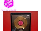 Certified RIAA Gold Album & Cassette Award 1985 Hooters 