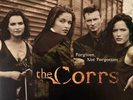 The Corrs - Forgiven, Not Forgotten (LP) (Teal Vinyl) (NM/NM)