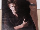 Don Henley – Building The Perfect Beast - 1984 Vinyl LP Record Album